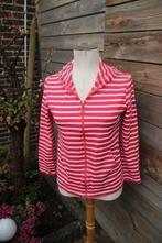 Vest rood/ wit Saint James mt 34 Vaste prijs, Saint James, Ophalen of Verzenden, Zo goed als nieuw, Maat 34 (XS) of kleiner