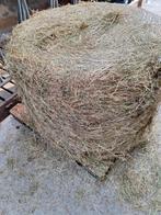 Tk hooi, Ophalen of Verzenden, Vee