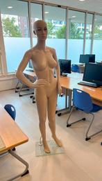 Mannequin/ etalagepop vrouw kleine maten 2x, Ophalen, Nieuw