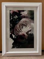 Wall prints, Ophalen, Minder dan 50 cm, Gebruikt, Schilderij