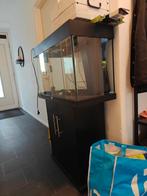 Rio 125 LED + veel extras, Dieren en Toebehoren, Vissen | Aquaria en Toebehoren, Ophalen, Gebruikt, Leeg aquarium