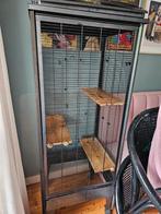 Grote kooi voor knaagdieren of vogels, Dieren en Toebehoren, Knaagdieren, Augustus, Vrouwelijk, Rat