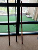 Vishengels, Watersport en Boten, Hengelsport | Algemeen, Ophalen, Gebruikt, Complete hengel