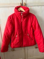 Mooie rode dames skijas, maat 40, Verzenden, Gedragen, Maat 38/40 (M), Jack