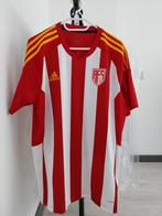 AVS Futebol SAD voetbalshirt maat L, Maat L, Ophalen of Verzenden, Nieuw, Shirt