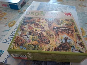 Mooie puzzels  beschikbaar voor biedingen