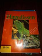 Boek over hagedissen en terrarium houden, Ophalen, Zo goed als nieuw