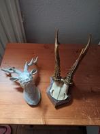 Decoratie hertenkopje en gewei, Ophalen of Verzenden