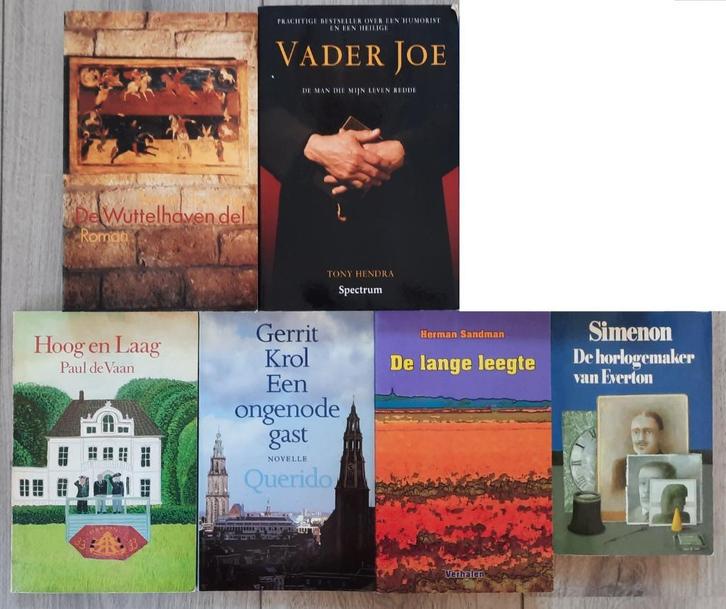 6 boeken meest romans, Vader Joe, Hoog en laag, lange leegte, Boeken, Romans, Gelezen, Ophalen of Verzenden