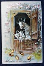 Reliefkaart De Geiten genieten van de scharrelende kuikens, Verzamelen, Ansichtkaarten | Dieren, Verzenden, Voor 1920, Gelopen