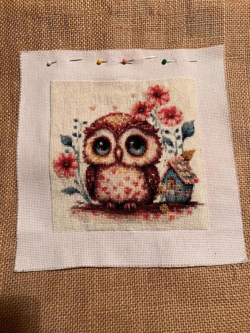 Borduurpakket voorgedrukt uiltje, Hobby en Vrije tijd, Borduren en Borduurmachines, Nieuw, Borduurpakket, Handborduren, Verzenden