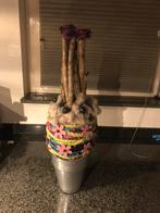 Droogstuk met grijze vaas, Verzenden, Zo goed als nieuw, Overige kleuren, Minder dan 50 cm