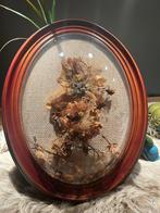 Vintage  schilderij met droogbloemen, Antiek en Kunst, Kunst | Schilderijen | Klassiek, Ophalen of Verzenden