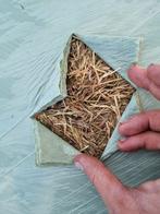 Midibalen voordroog hooi 2025, Dieren en Toebehoren, Dierenvoeding, Ophalen of Verzenden, Vee