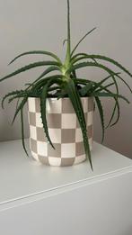 Grote blokjes bloempot beige, Tuin en Terras, Bloempotten, Ophalen, Rond, Zo goed als nieuw, Aardewerk