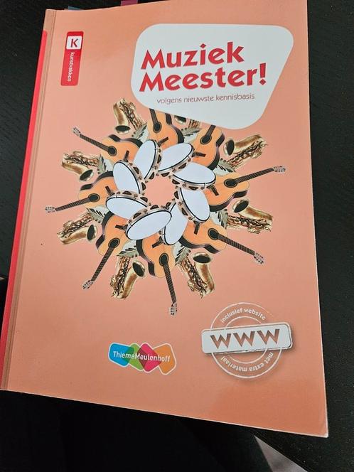 Rinze van der Lei - Muziek Meester!, Boeken, Schoolboeken, Zo goed als nieuw, Muziek, Overige niveaus, Ophalen of Verzenden