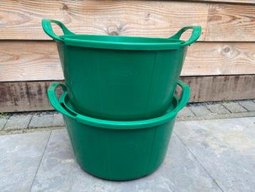 Nieuwe Rainbow Trug Sage Green Met Deksel beschikbaar voor biedingen