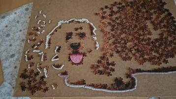 Toypoodle puzzel beschikbaar voor biedingen