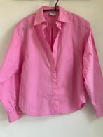 Dante 6 roze blouse wijde mouw, Maat 38/40 (M), Roze, Zo goed als nieuw, Dante 6