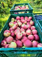 Appels, peren, stoofperen, Ophalen