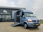 Renault MTM Paardenwagen hengstenuitvoering automaat marge, Dieren en Toebehoren, Paarden en Pony's | Trailers en Aanhangwagens