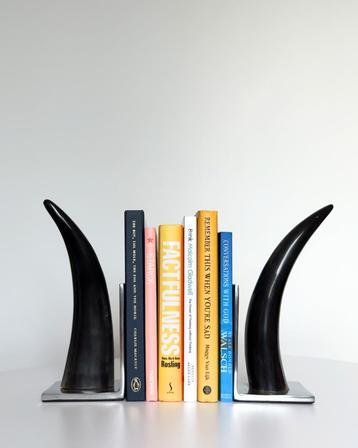 Natural Cow Horn Bookends beschikbaar voor biedingen