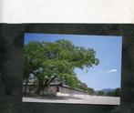 Ansicht Japan - Kyoto - Kyoto Imperial Palace, Verzenden, Ongelopen, Buiten Europa