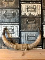 Koeienhoorn, Huis en Inrichting, Woonaccessoires | Overige, Ophalen, Gebruikt