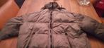 gewatteerde jas, maat L  10 euro, Kleding | Heren, Maat 52/54 (L), Bruin, Biaggini, Ophalen of Verzenden