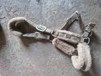 Mooi bont halster horsegear maat cob, Dieren en Toebehoren, Ophalen of Verzenden, Zo goed als nieuw, Overige soorten