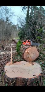 Gratis uw boom omzagen, Tuin en Terras, Haardhout, Ophalen of Verzenden, Overige houtsoorten