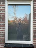 Hardhouten kozijnen met dubbel glas, Ophalen, Gebruikt, Raamkozijn, Inclusief glas
