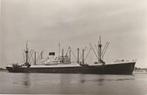 schepen: M.S. Borneo, Verzamelen, Scheepvaart, Ophalen of Verzenden, Motorboot, Zo goed als nieuw, Kaart, Foto of Prent
