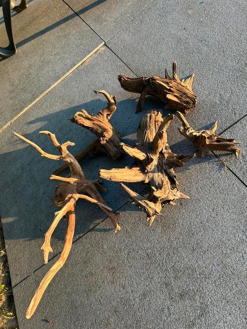 5 stuks prachtig Kienhout / Driftwood / Spiderwood, Dieren en Toebehoren, Vissen | Aquaria en Toebehoren, Ophalen of Verzenden