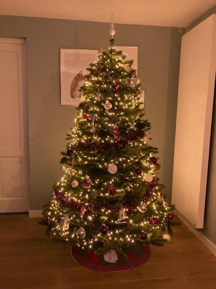 Triumph Tree Forest Frosted Pine 230 cm, Diversen, Kerst, Zo goed als nieuw, Ophalen