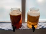 Kombucha scoby, Diversen, Levensmiddelen, Ophalen