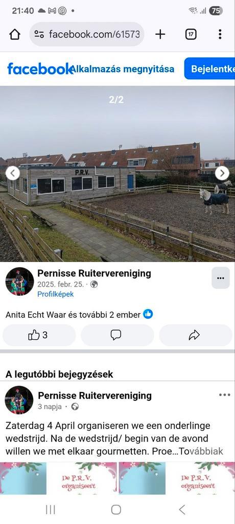 Stalling, paardenstallen. Ponystallen, Dieren en Toebehoren, Stalling en Weidegang, Stalling