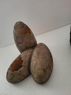 Exo Terra Dinosaurus Eieren - Terrarium Decoratie, Ophalen of Verzenden, Nieuw