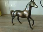 Prachtig massief koperen paard., Ophalen of Verzenden, Zo goed als nieuw, Paard, Beeldje of Figuurtje