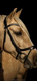 Zwart hoofdstel full, Dieren en Toebehoren, Paarden en Pony's | Hoofdstellen en Tuigage, Ophalen of Verzenden, Dressuur