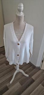16)Te koop nieuw kort wit vestje maat XXL onv.mt46, Wit, Trui of Vest, Ophalen of Verzenden, Nieuw