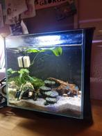 Tetra Silhouette Led nano aquarium 12L, Ophalen, Zo goed als nieuw, Leeg aquarium