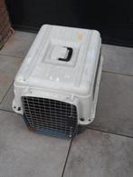 Grote reis kooi vervoer box hond of kat vliegtuig kooi
65x50, Ophalen of Verzenden, Zo goed als nieuw