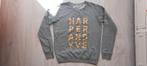 Harper and Yve sweater mt. 36, Kleding | Dames, Truien en Vesten, Verzenden, Zo goed als nieuw, Maat 36 (S), Harper & Yve