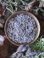 Gedroogde Lavendel Kruid Wicca,Reiki,Spiritualiteit Nieuw, Ophalen of Verzenden, Nieuw