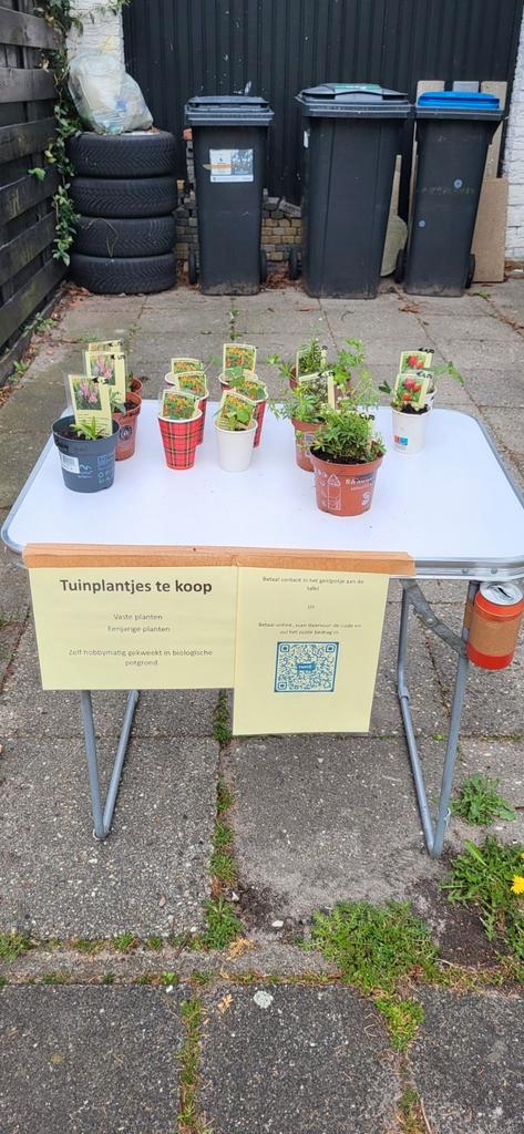 Tuinplanten oost indische kers, scharnierbloem, lievevrouweb, Tuin en Terras, Planten | Tuinplanten, Volle zon, Lente, Ophalen