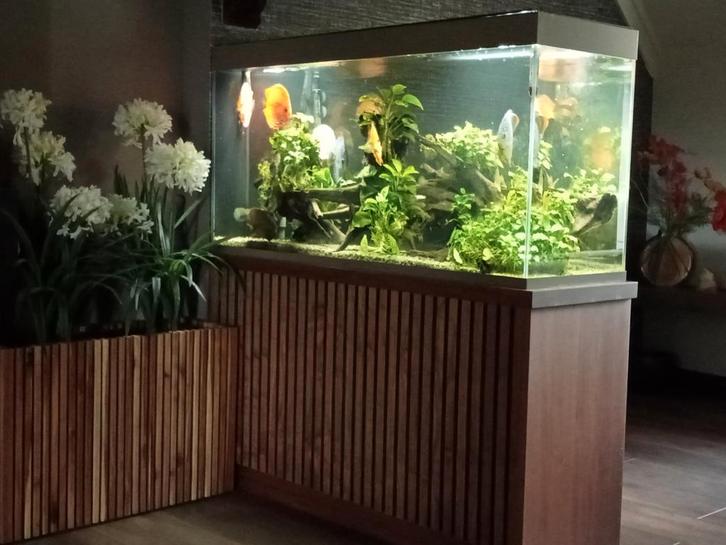 orginele roomdivider, Huis en Inrichting, Woonaccessoires | Kamerschermen, Ophalen