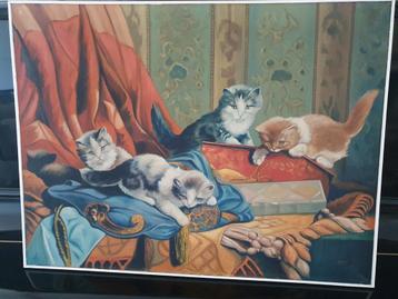 Prachtig schilderij spelende kittens, katten gesigneerd  beschikbaar voor biedingen