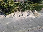 Wit zand, Tuin en Terras, Zand, Ophalen