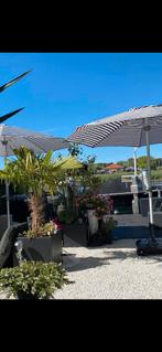 Twee prachtige zwart wit parasols, Ophalen, Nieuw, 2 tot 3 meter, Stokparasol